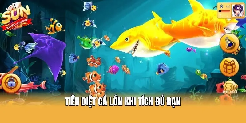 Tiêu diệt cá lớn khi tích đủ đạn