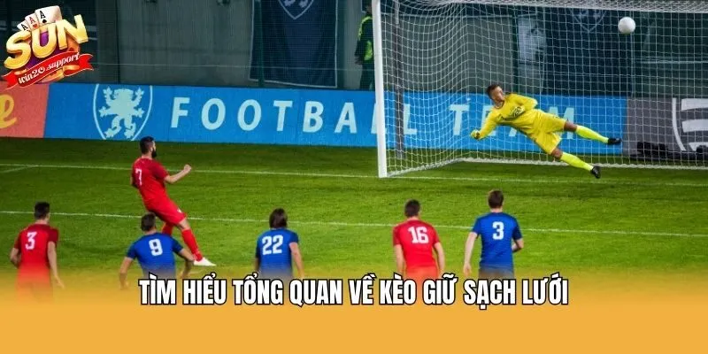 Tìm hiểu tổng quan về kèo giữ sạch lưới